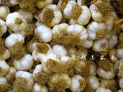 闪电回收逾期怎么办 闪电回收逾期怎么办