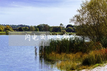 闪电回购逾期了 闪电回购逾期了