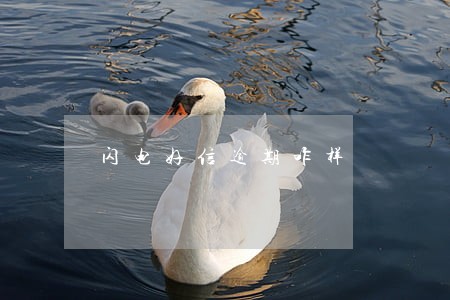 闪电好信逾期咋样 闪电好信逾期咋样