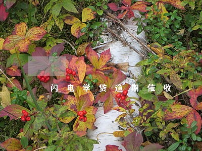 闪电学贷逾期催收 闪电学贷逾期催收