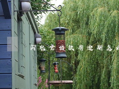 闪电宝借款有逾期怎么办 闪电宝借款有逾期怎么办