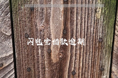 闪电宝借款逾期 闪电宝借款逾期