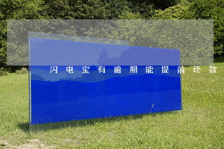 闪电宝有逾期能提前还款吗 闪电宝有逾期能提前还款吗