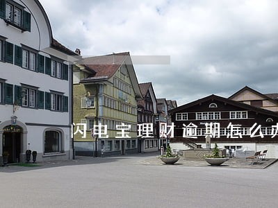 闪电宝理财逾期怎么办