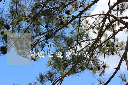 闪电宝逾期一天 闪电宝逾期一天