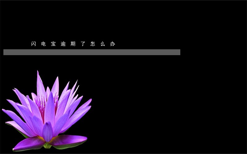 闪电宝逾期了怎么办 闪电宝逾期了怎么办