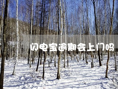 闪电宝逾期会上门吗 闪电宝逾期会上门吗