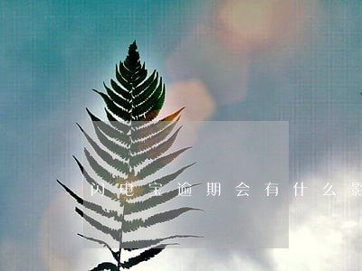 闪电宝逾期会有什么影响 闪电宝逾期会有什么影响