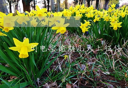 闪电宝逾期几天上征信 闪电宝逾期几天上征信