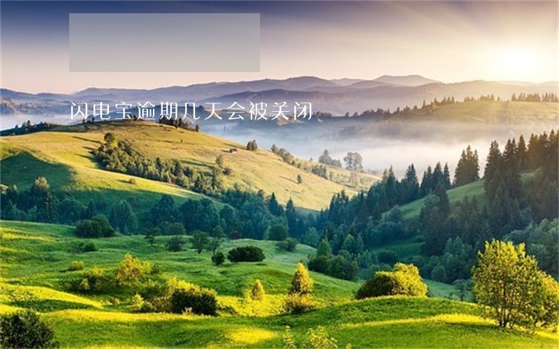 闪电宝逾期几天会被关闭 闪电宝逾期几天会被关闭