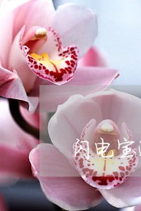 闪电宝逾期多久上征信 闪电宝逾期多久上征信