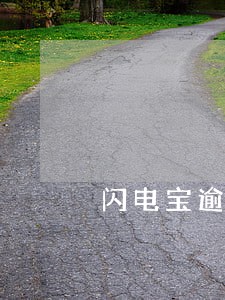 闪电宝逾期怎么解决 闪电宝逾期怎么解决