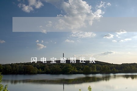 闪电宝逾期还款 闪电宝逾期还款