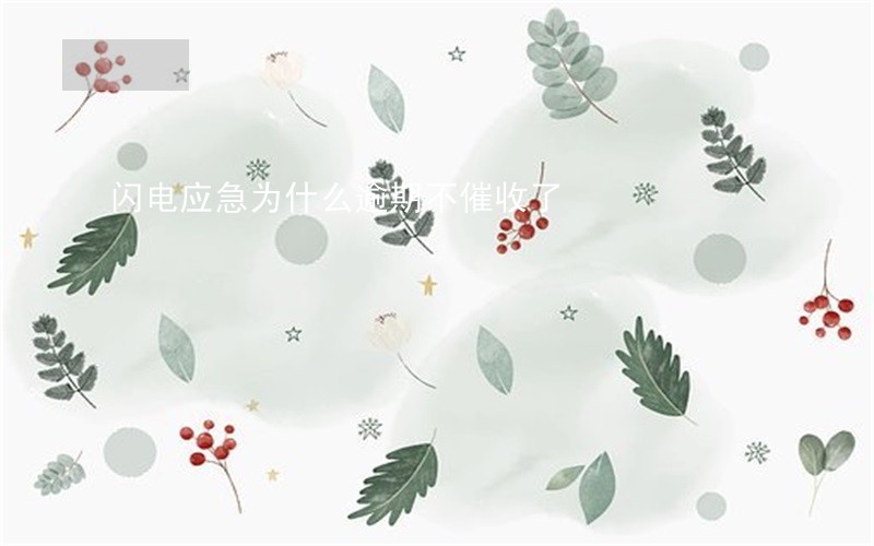 闪电应急为什么逾期不催收了 闪电应急为什么逾期不催收了