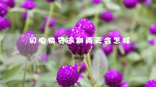 闪电快贷逾期两天会怎样 闪电快贷逾期两天会怎样