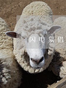 闪电易借逾期了怎么办 闪电易借逾期了怎么办