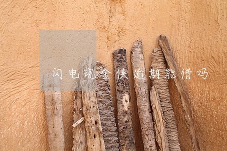 闪电现金侠逾期能借吗