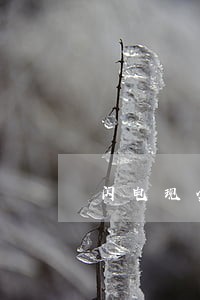 闪电现金逾期 闪电现金逾期