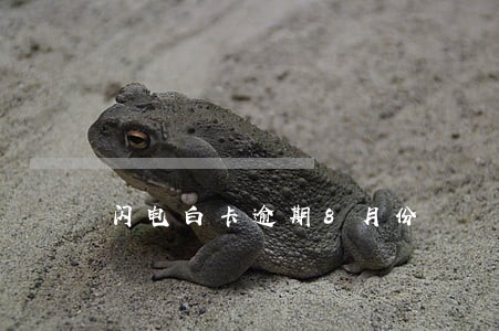 闪电白卡逾期8月份 闪电白卡逾期8月份