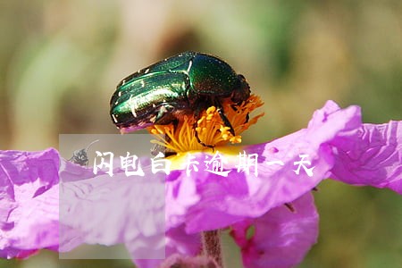 闪电白卡逾期一天 闪电白卡逾期一天