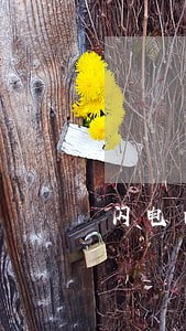 闪电白卡逾期一天催收 闪电白卡逾期一天催收