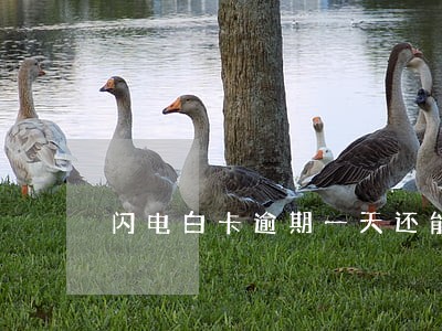 闪电白卡逾期一天还能借吗 闪电白卡逾期一天还能借吗