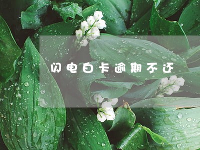 闪电白卡逾期不还 闪电白卡逾期不还