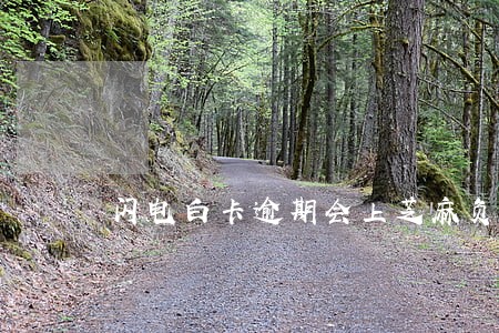 闪电白卡逾期会上芝麻负面吗 闪电白卡逾期会上芝麻负面吗