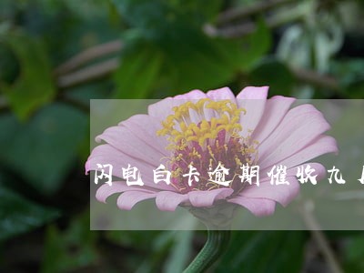 闪电白卡逾期催收九月 闪电白卡逾期催收九月