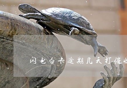 闪电白卡逾期几天打催收电话 闪电白卡逾期几天打催收电话