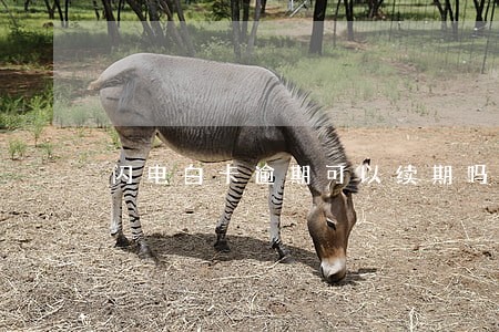 闪电白卡逾期可以续期吗 闪电白卡逾期可以续期吗
