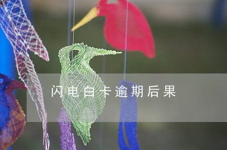 闪电白卡逾期后果 闪电白卡逾期后果