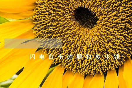 闪电白卡逾期扣多少钱 闪电白卡逾期扣多少钱
