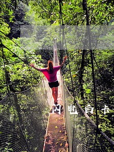 闪电白卡逾期没人打电话 闪电白卡逾期没人打电话