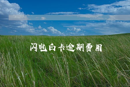 闪电白卡逾期费用 闪电白卡逾期费用