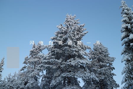闪电白领逾期一天 闪电白领逾期一天