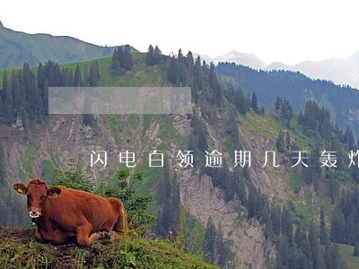 闪电白领逾期几天轰炸 闪电白领逾期几天轰炸