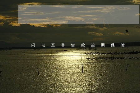 闪电至尊借款逾期保险 闪电至尊借款逾期保险