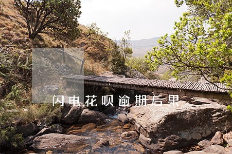 闪电花呗逾期后果 闪电花呗逾期后果