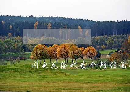 闪电花给我发个短信说我严重逾期 闪电花给我发个短信说我严重逾期