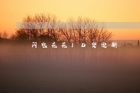 闪电花花ID贷逾期 闪电花花ID贷逾期
