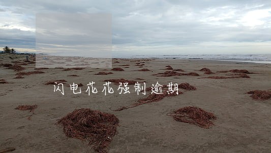 闪电花花强制逾期 闪电花花强制逾期