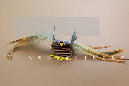 闪电花花逾期不还会怎样 闪电花花逾期不还会怎样