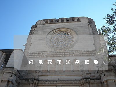 闪电花花逾期催收6 闪电花花逾期催收6