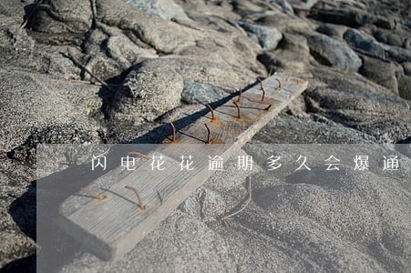 闪电花花逾期多久会爆通讯录 闪电花花逾期多久会爆通讯录