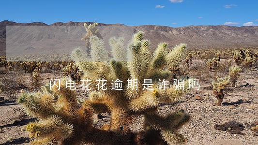 闪电花花逾期是诈骗吗 闪电花花逾期是诈骗吗