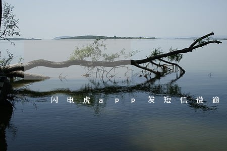 闪电虎app发短信说逾期 闪电虎app发短信说逾期