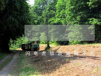 闪电虎借款逾期不还 闪电虎借款逾期不还