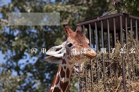 闪电虎典当贷逾期了怎么办 闪电虎典当贷逾期了怎么办