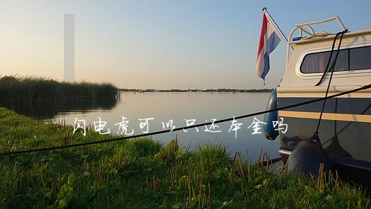 闪电虎可以只还本金吗 闪电虎可以只还本金吗